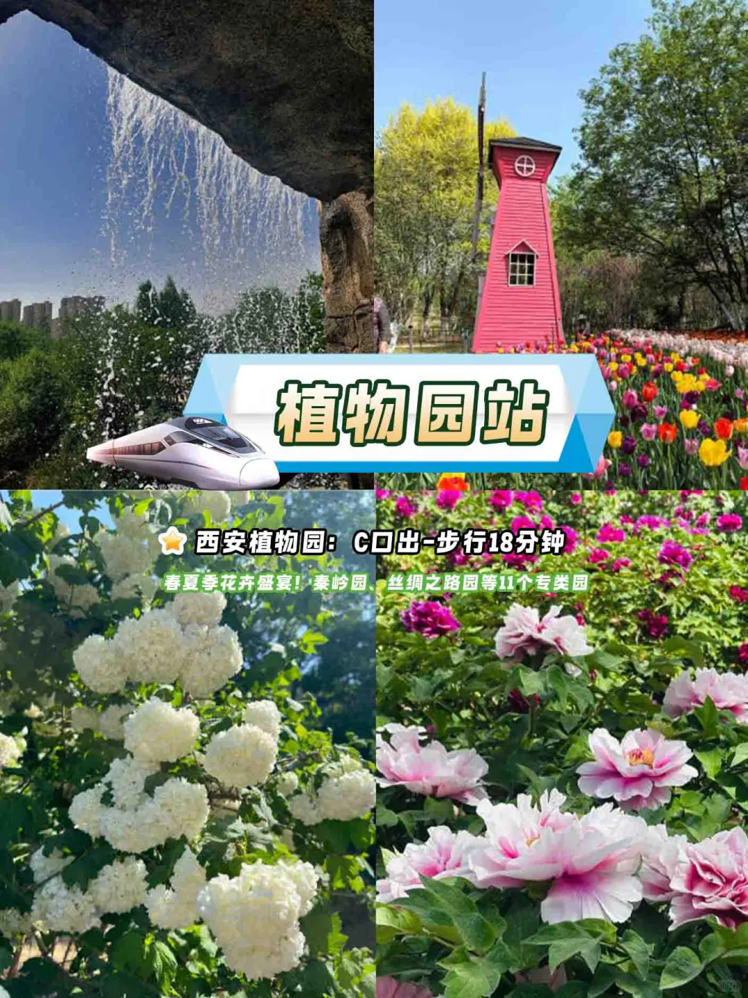 西安8号线环线Citywalk终极指南