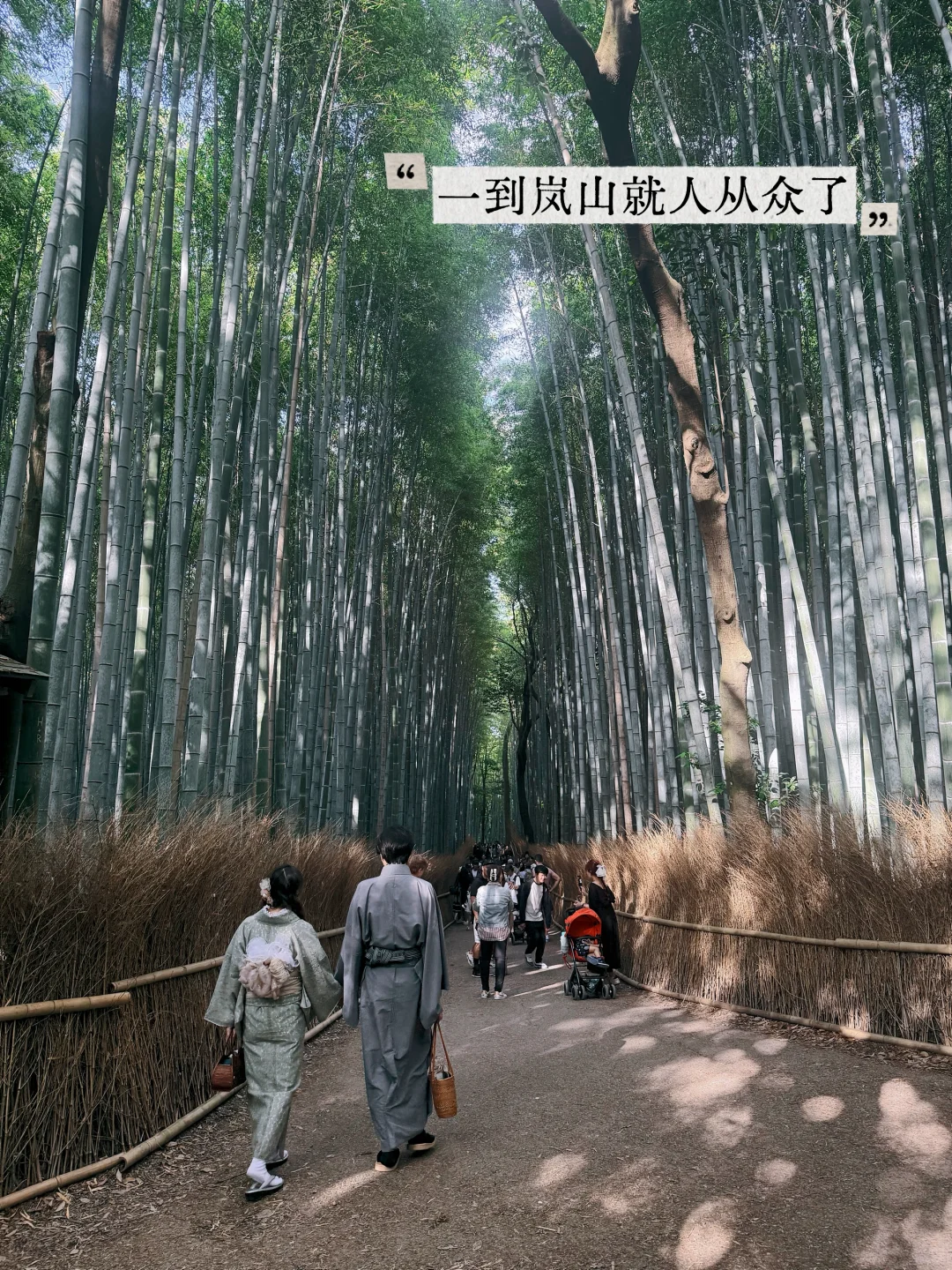 避开人潮！京都初夏绿径，高雄线徒步攻略