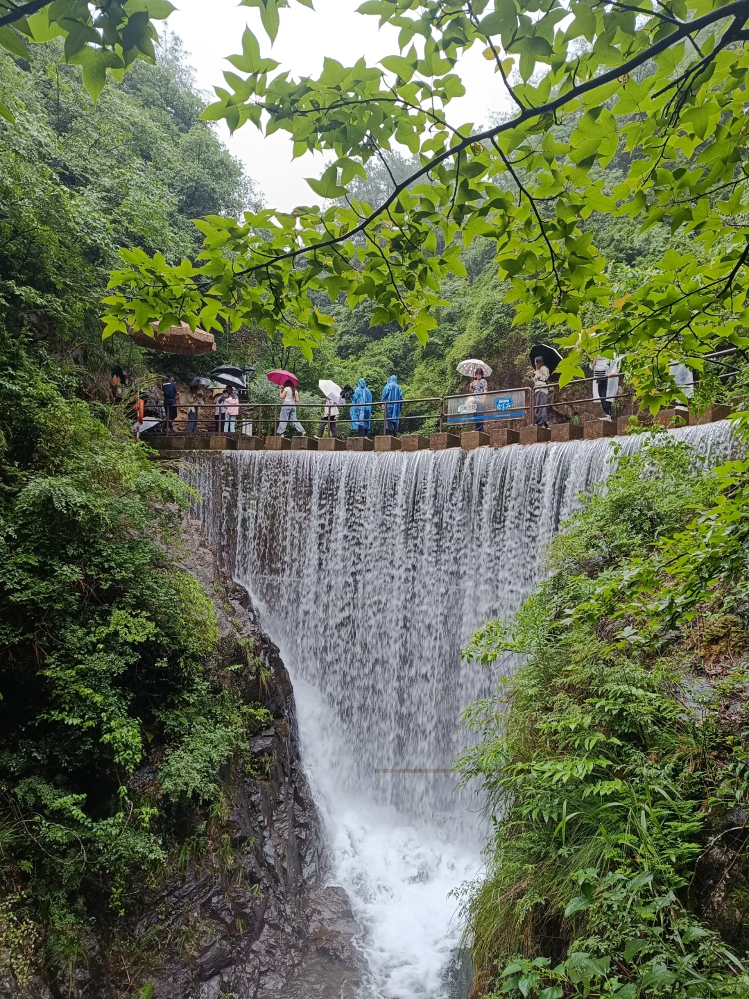 桐庐大奇山