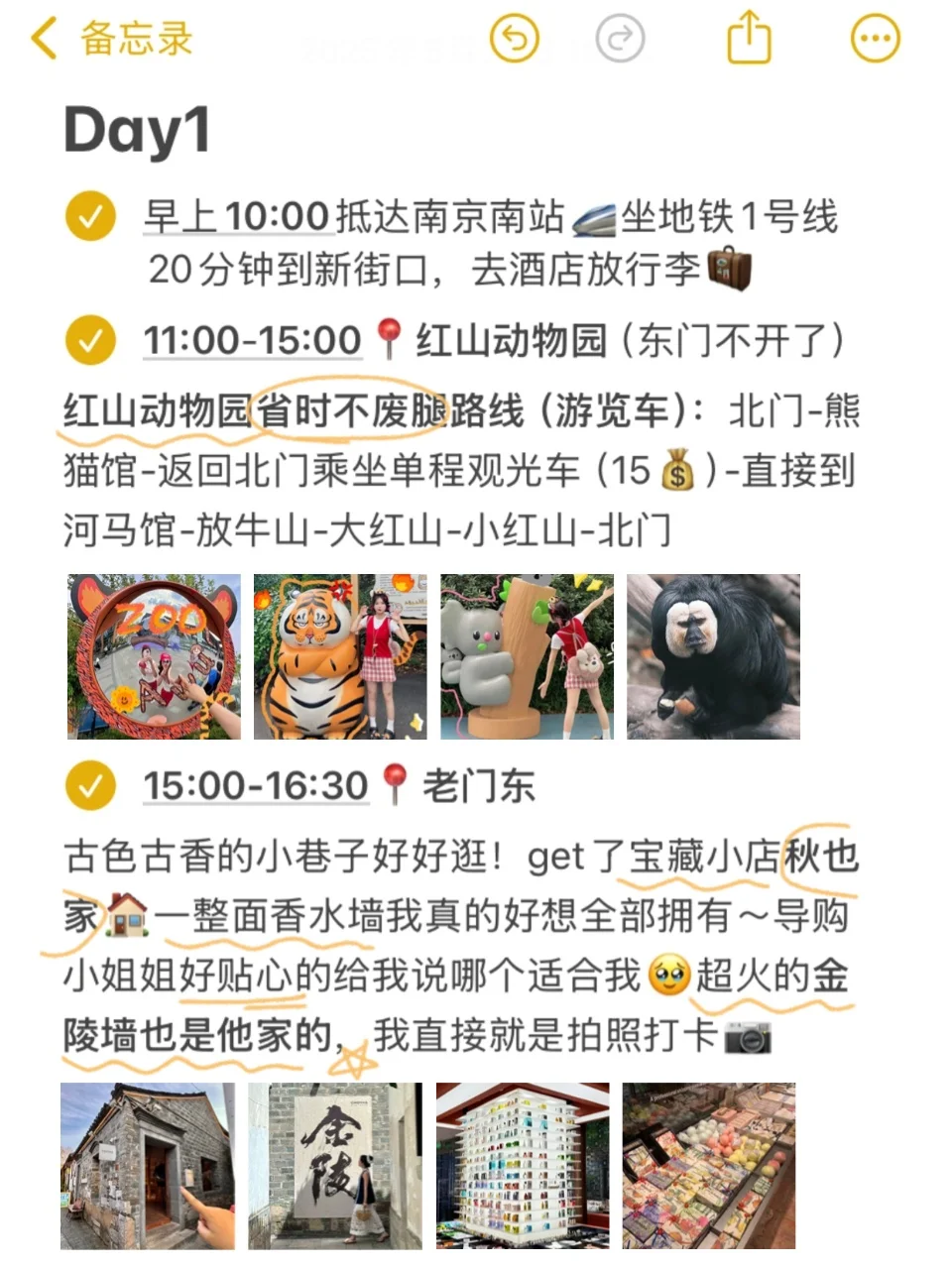 本J人对自己的南京攻略满意的睡不着🥳