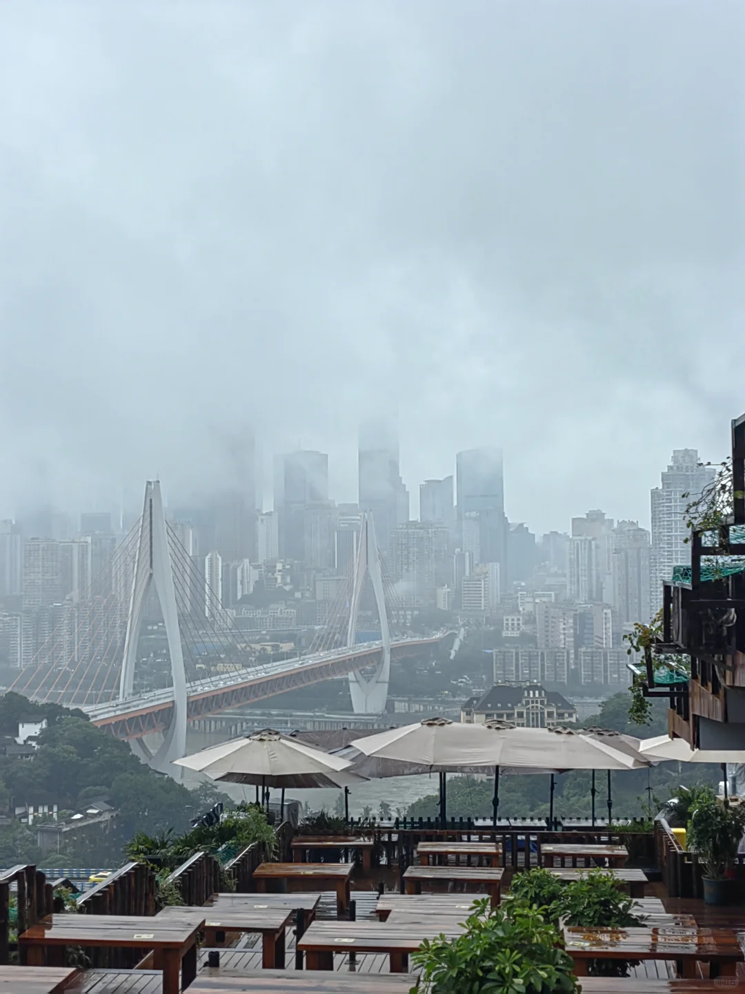 赴一场烟雨