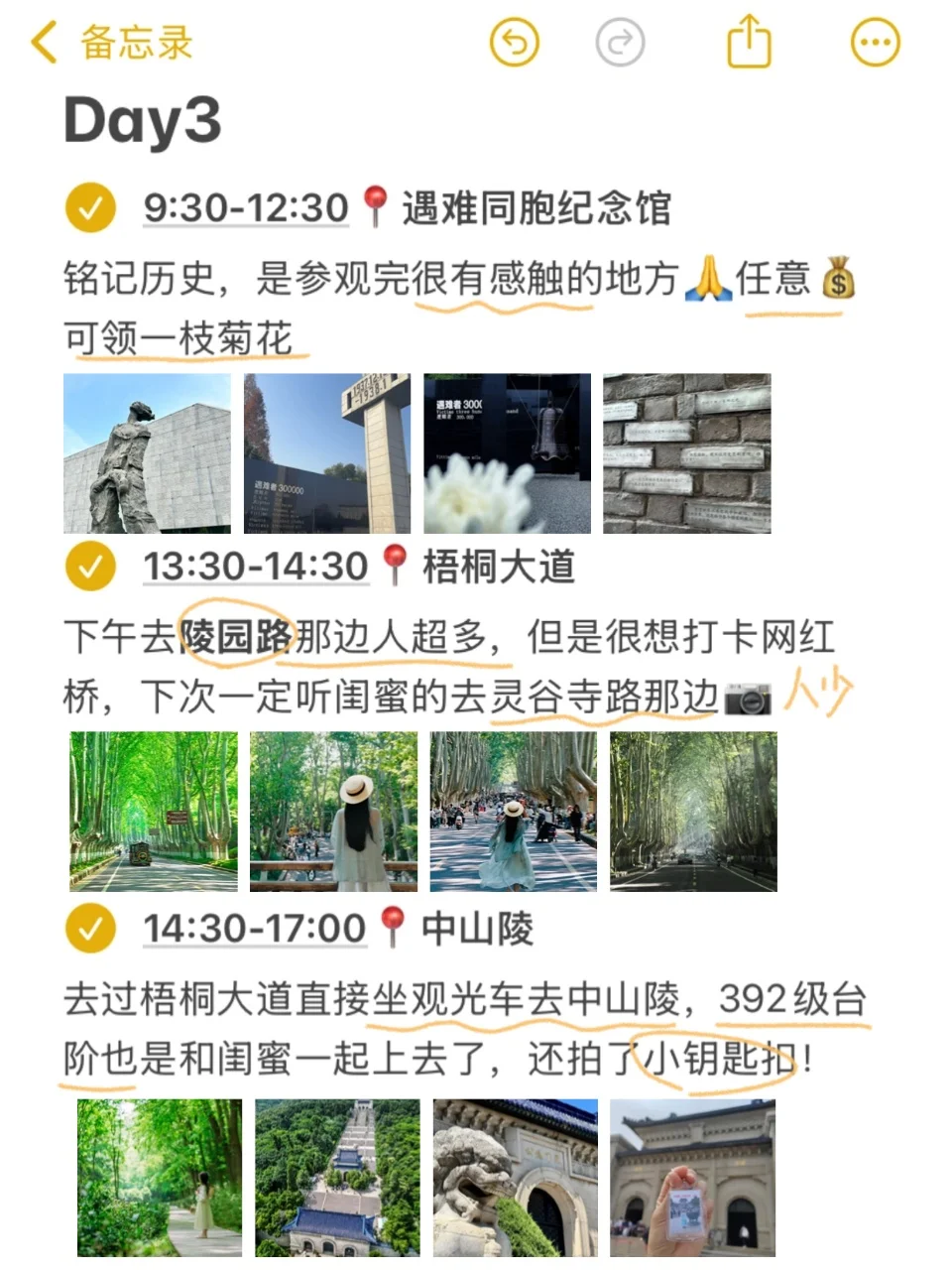本J人对自己的南京攻略满意的睡不着🥳