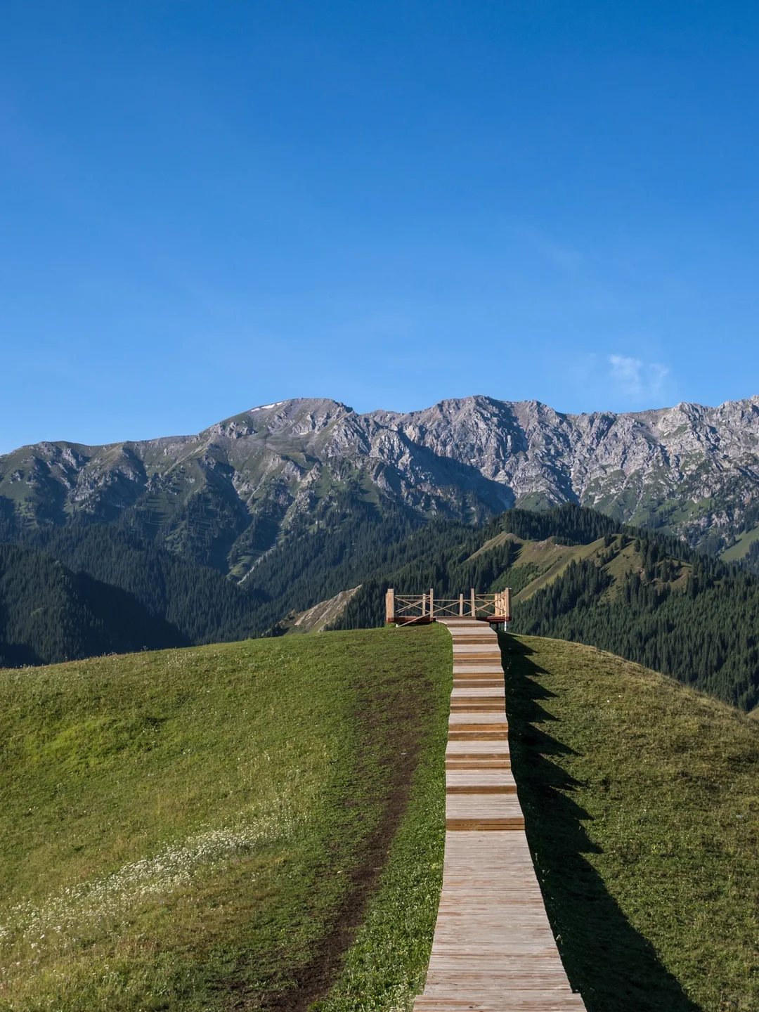 新疆8日游雪山草原沙漠全打卡