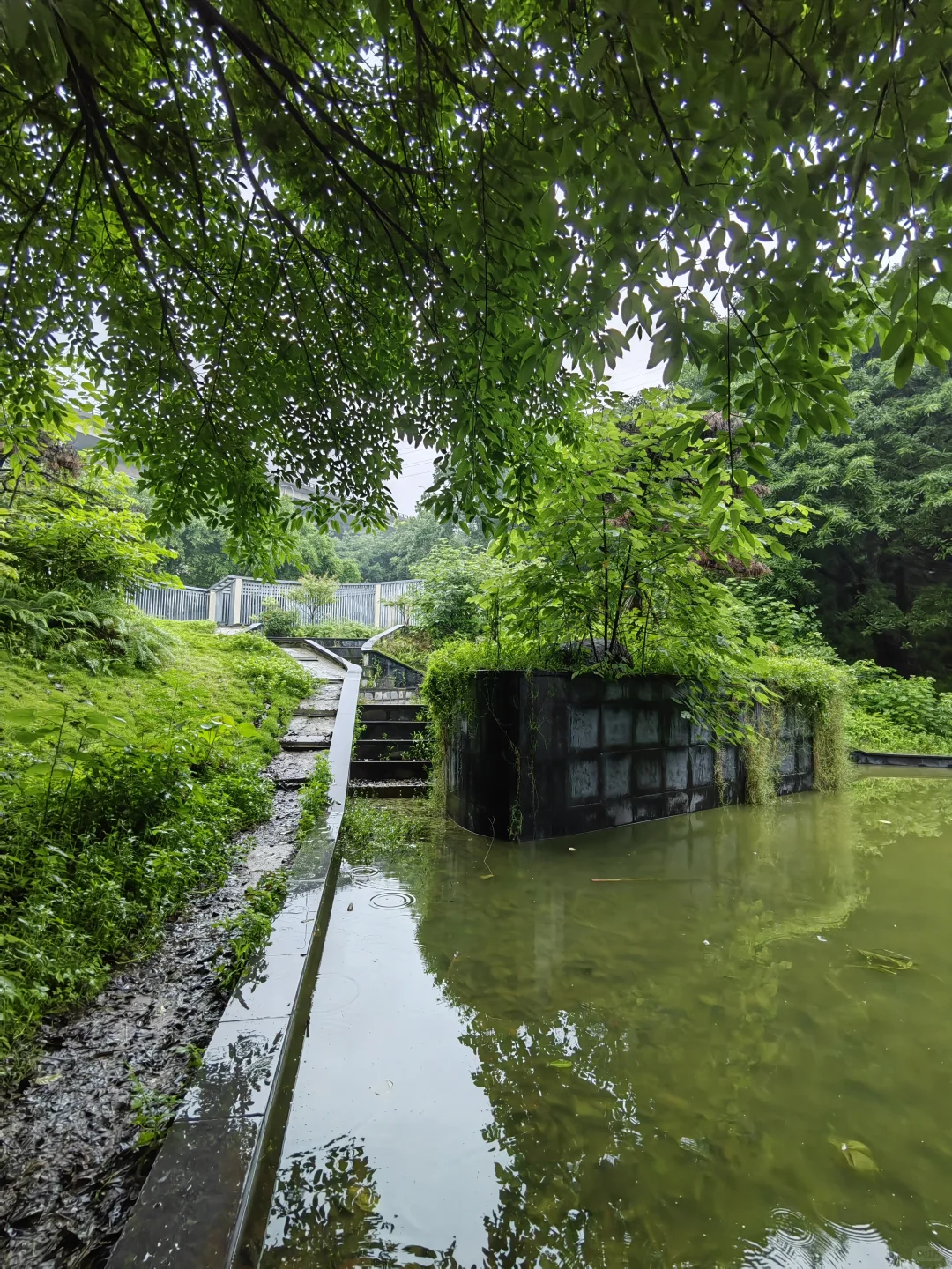 赴一场烟雨