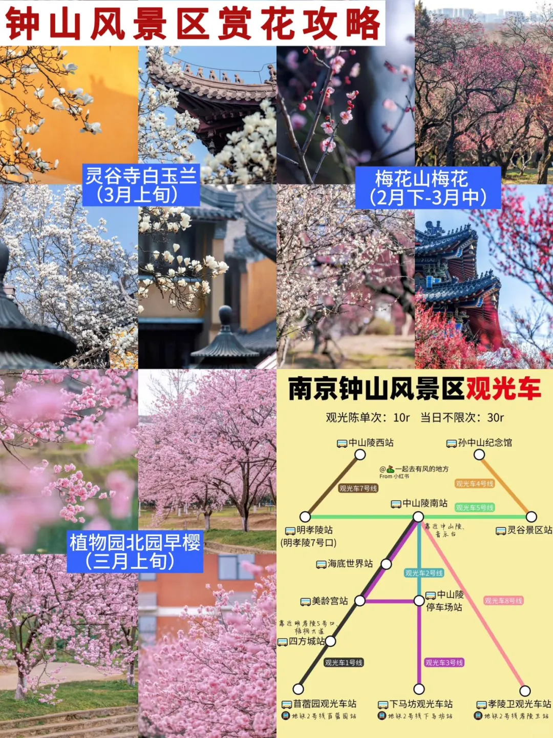 3-5月来南京🔥两天一夜省心游玩攻略✅