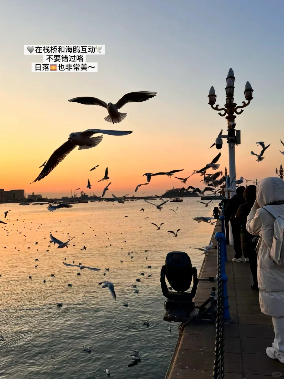 不在马尔代夫而是在山东！快码住这份攻略🏝️