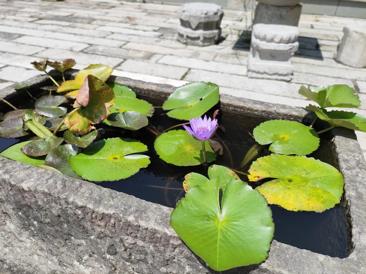 免费景点
