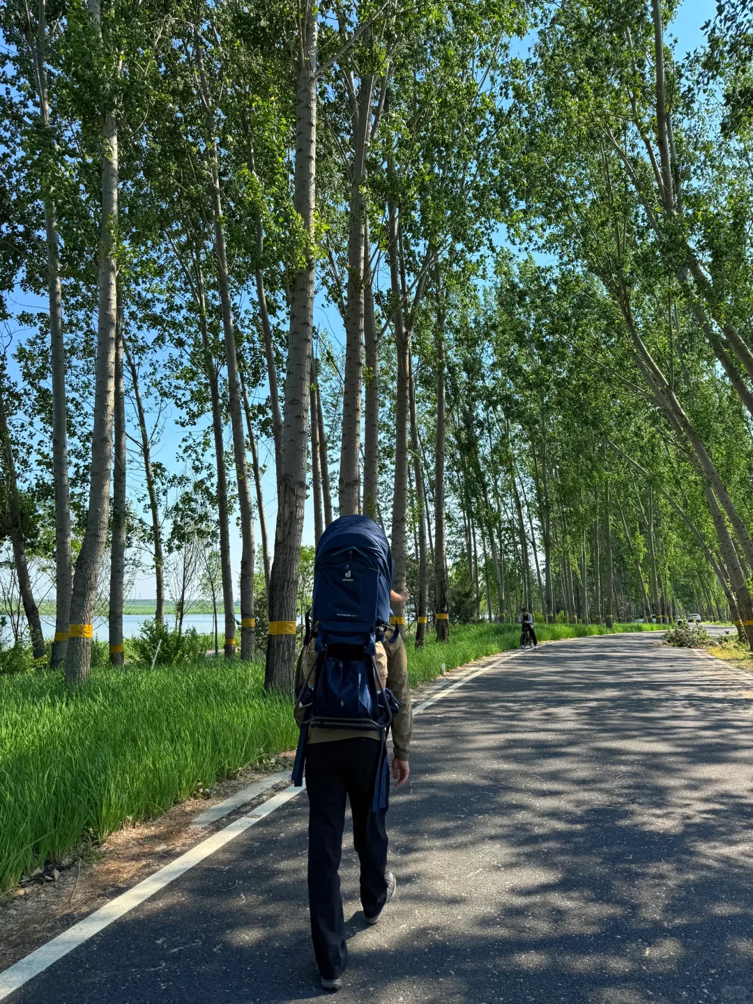 北京🚗1h｜雄安白洋淀2天1夜免费景点全攻略