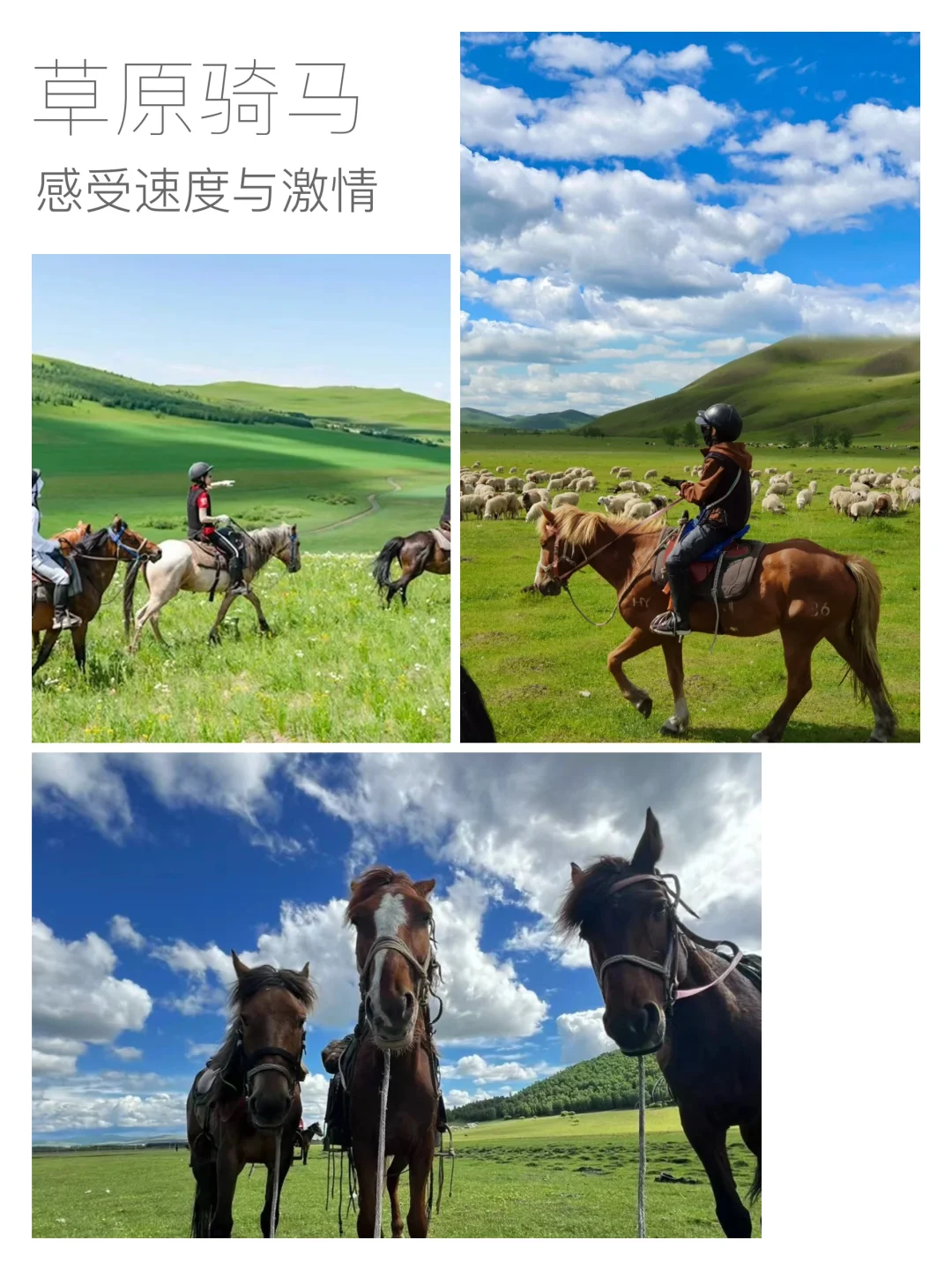 六天五晚呼伦贝尔游玩纯攻略分享