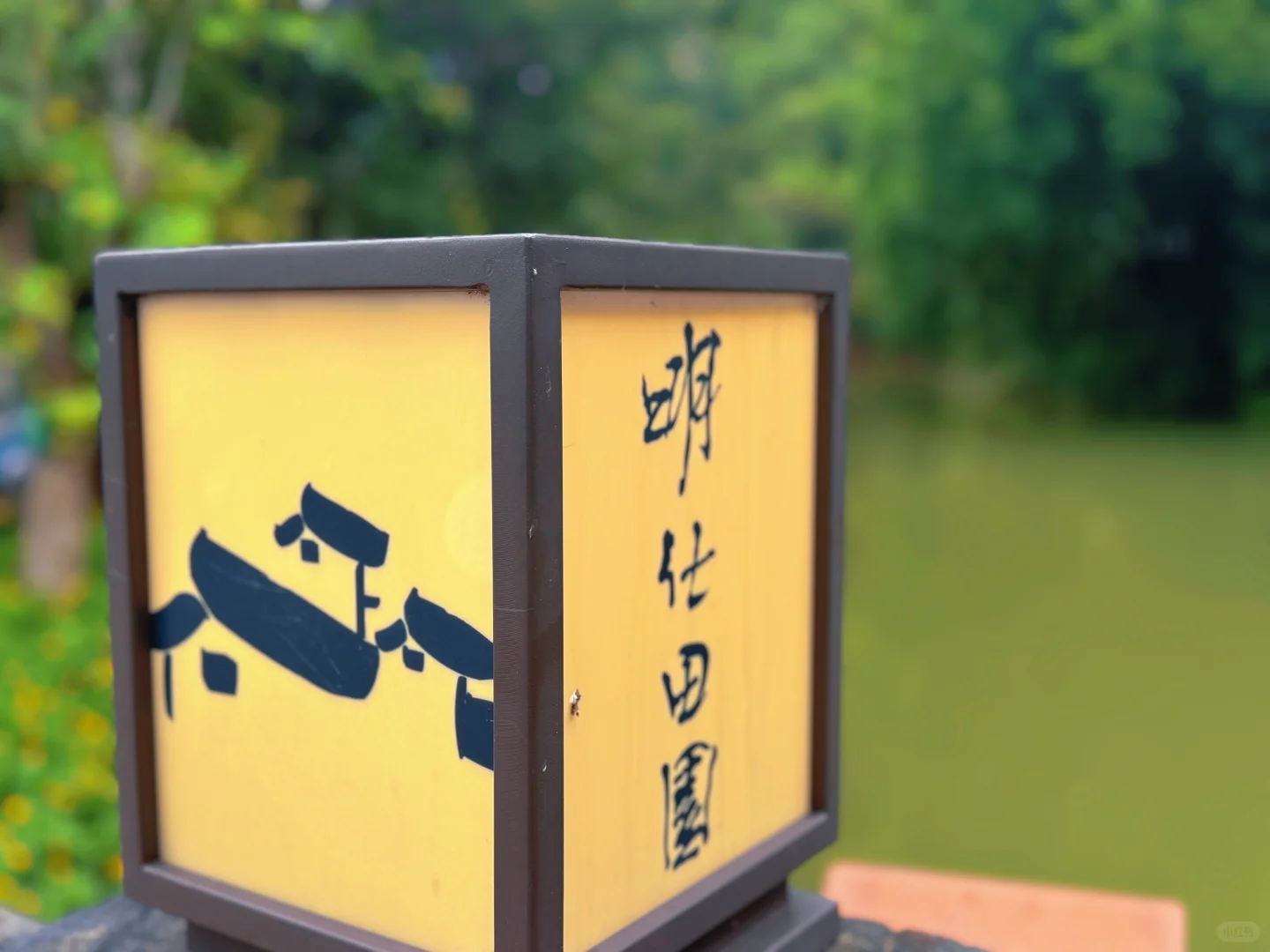探访明仕田园景区，邂逅《花千骨》取景地采风