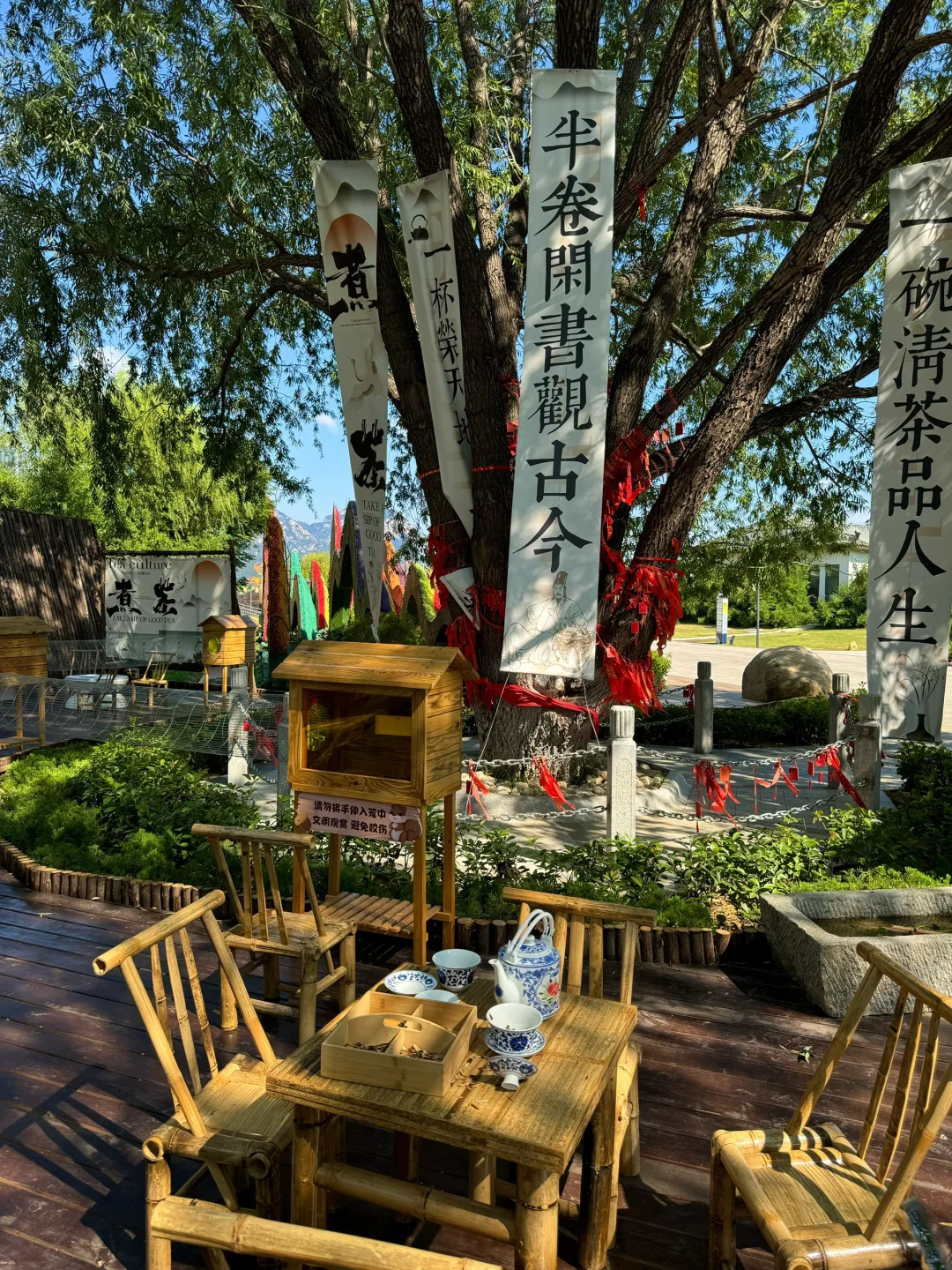 泰安这个免费景点也太安逸啦！