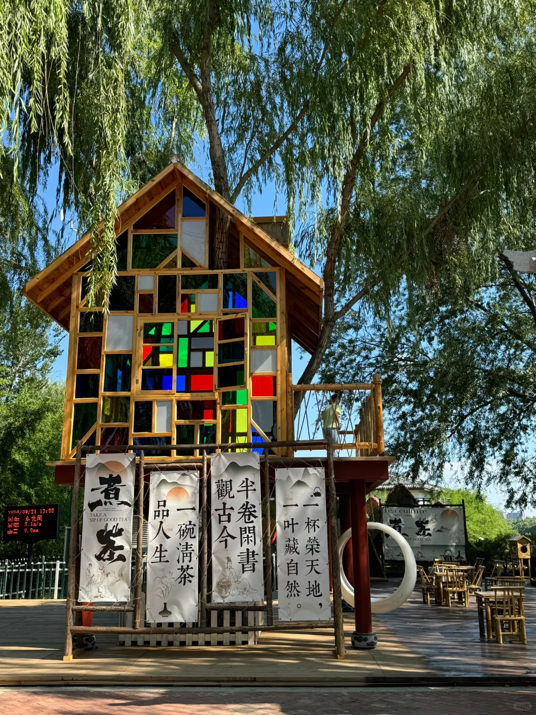泰安这个免费景点也太安逸啦！