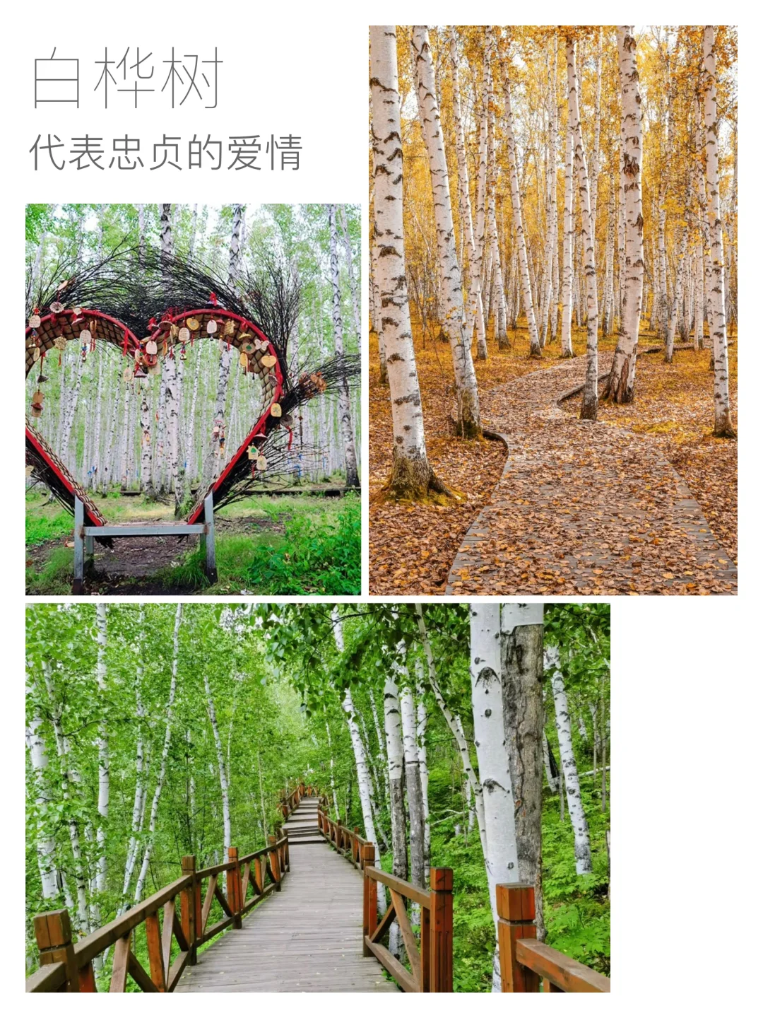 六天五晚呼伦贝尔游玩纯攻略分享