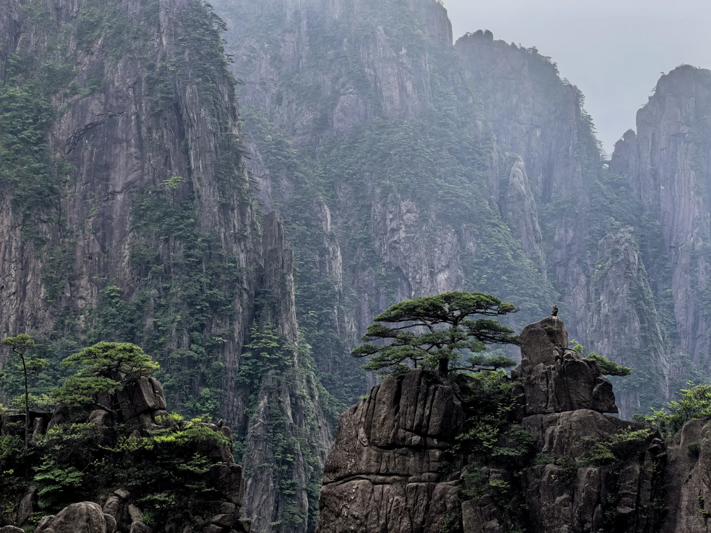 黄山很美，但想给景区管理一些建议