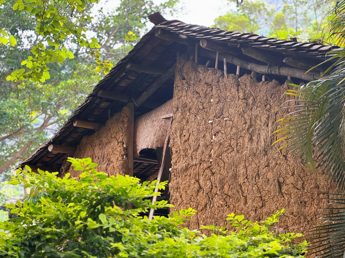 探访明仕田园景区，邂逅《花千骨》取景地采风