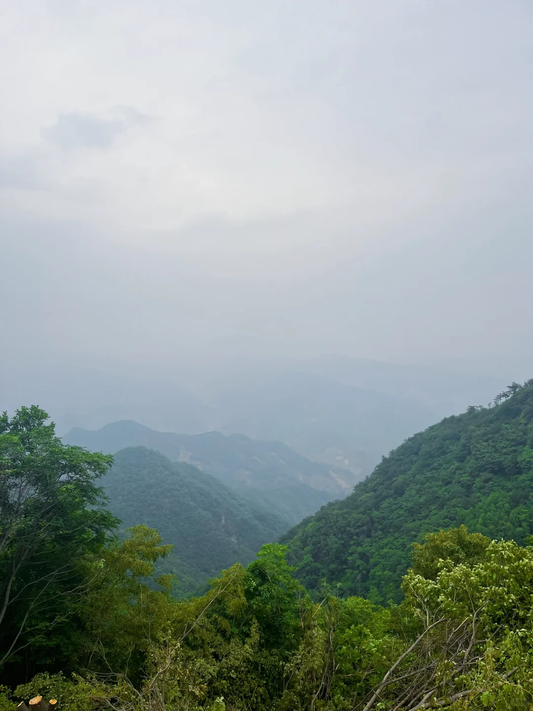 看画看山