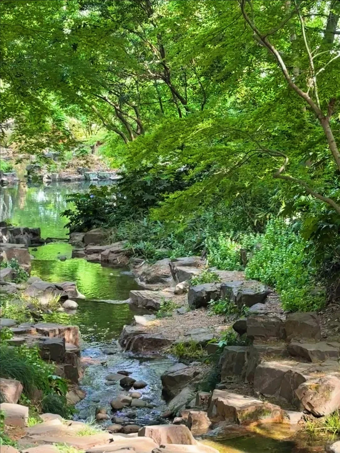 【苏州园林讲解员】边逛景区边赚钱🌿
