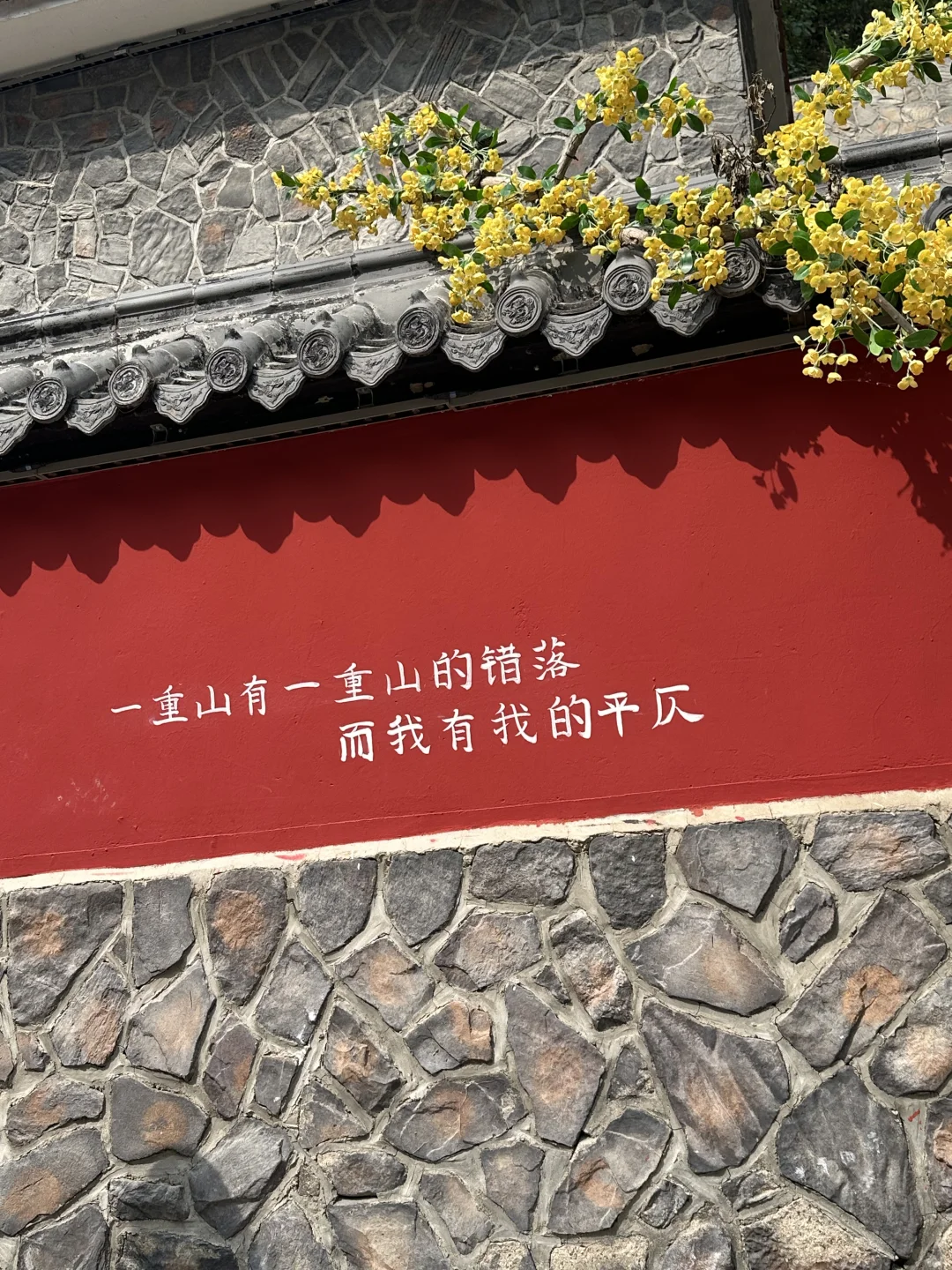 每一处都好适合拍照 好喜欢