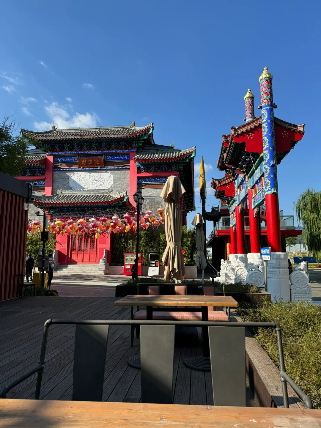 泰安这个免费景点也太安逸啦！