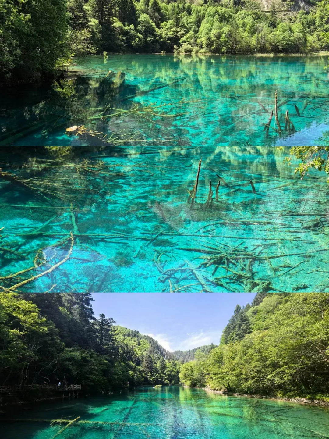 住景区内买1天门票=玩3天！还免费接送行李