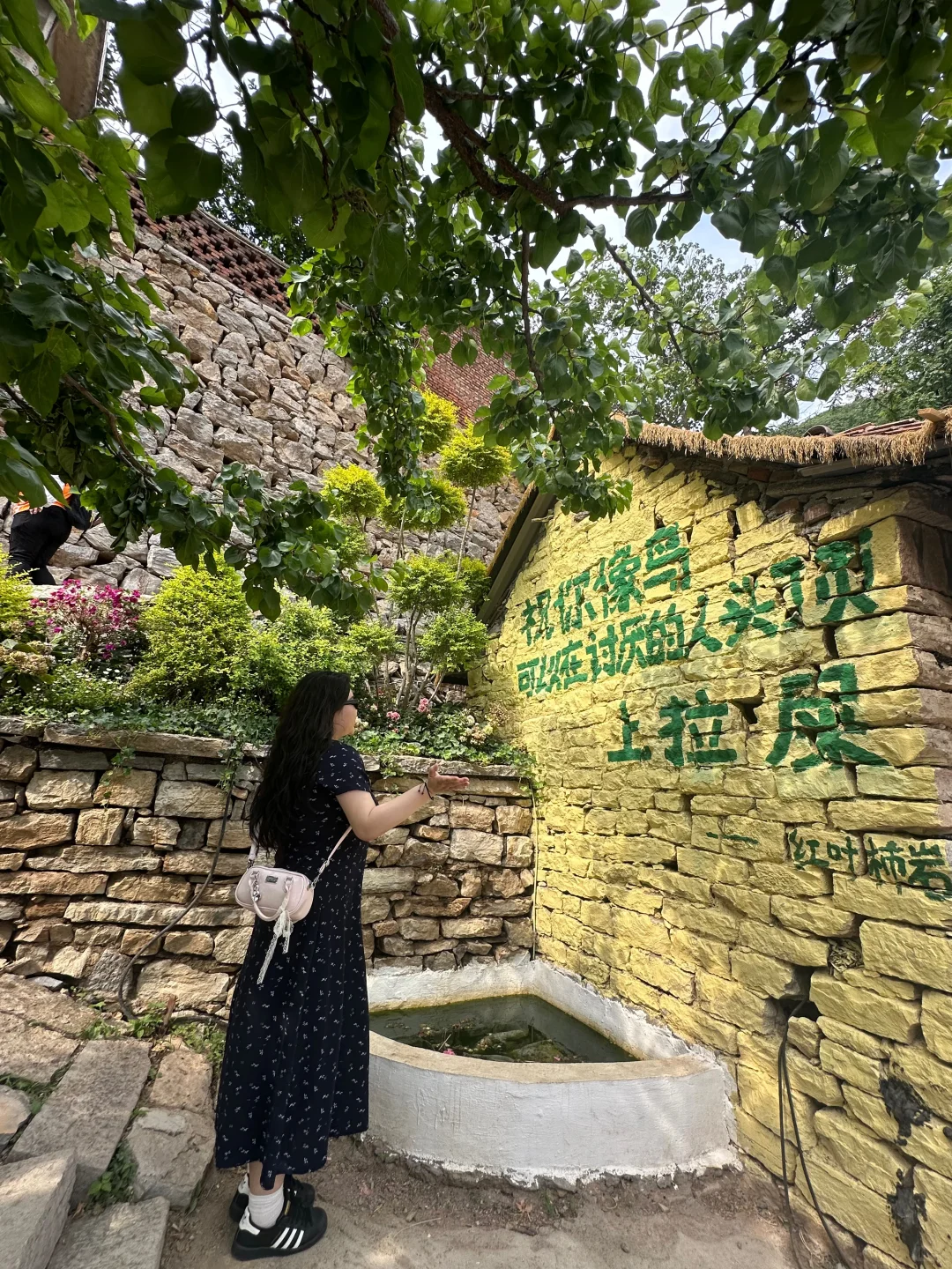 每一处都好适合拍照 好喜欢