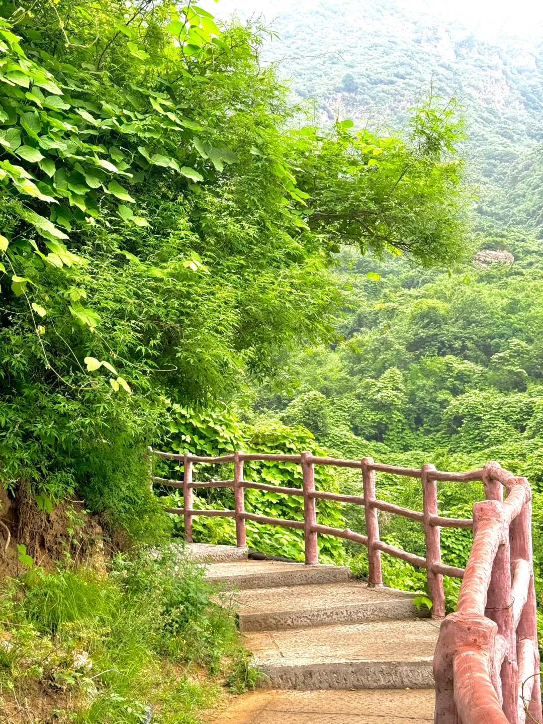 进山吸氧💚解锁小众景点云蒙山一日游攻略版