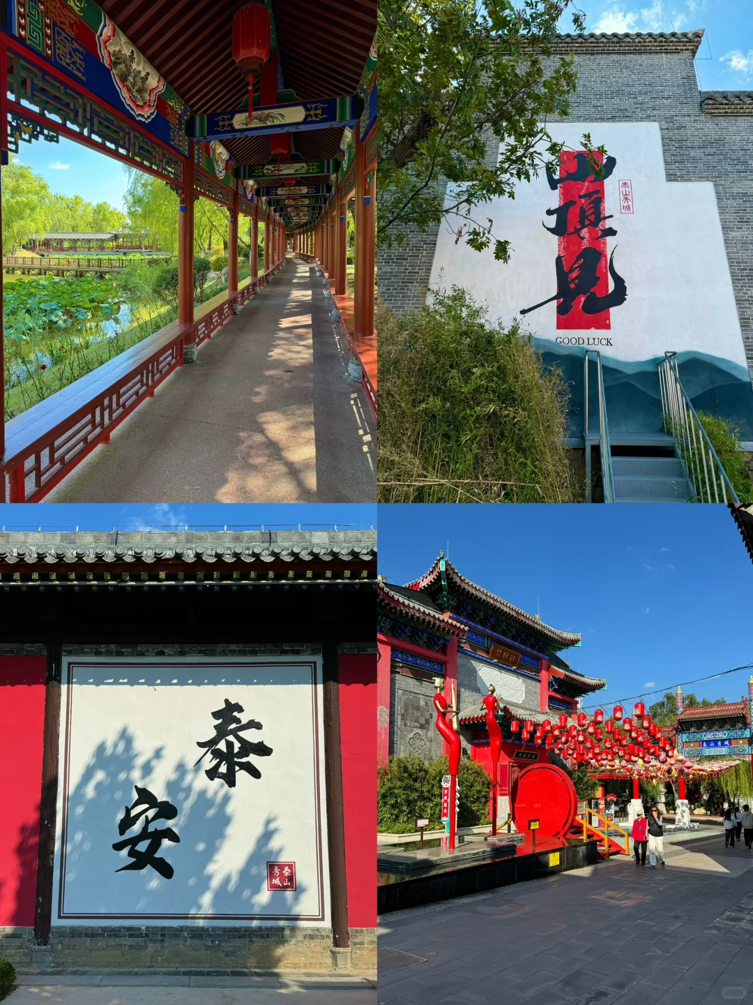 泰安这个免费景点也太安逸啦！