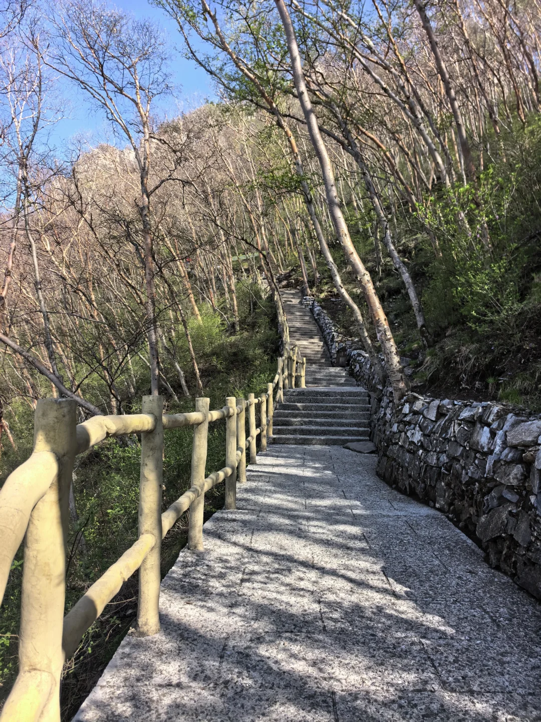 5A 景区白石山，北京 2h，二刷附攻略