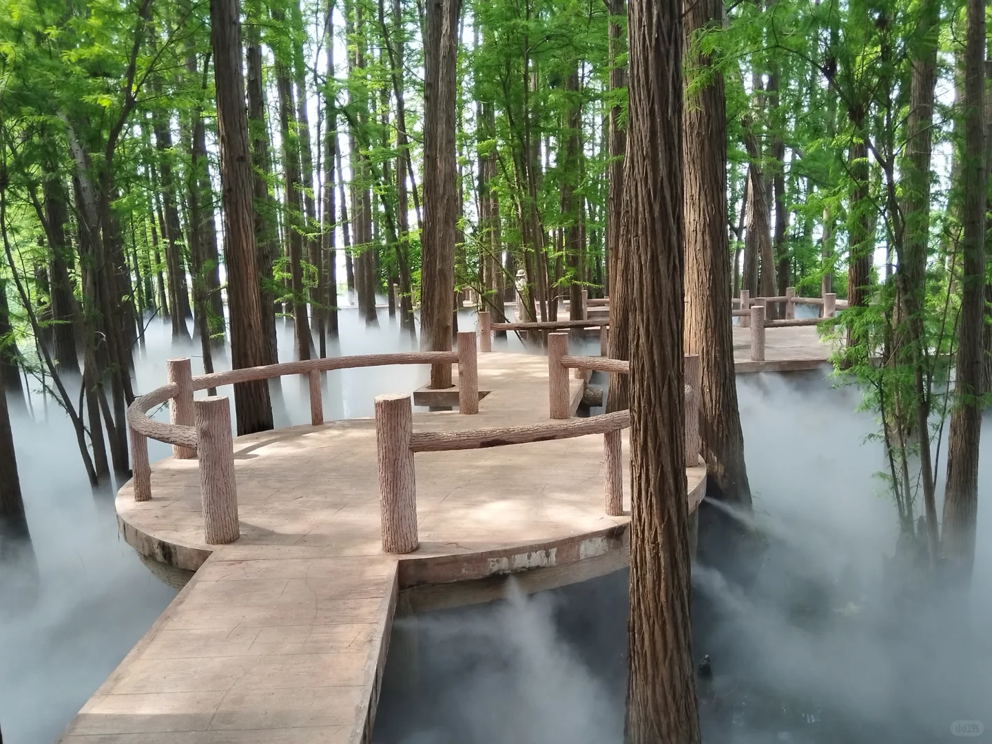 仿佛人间仙境，简直太美了