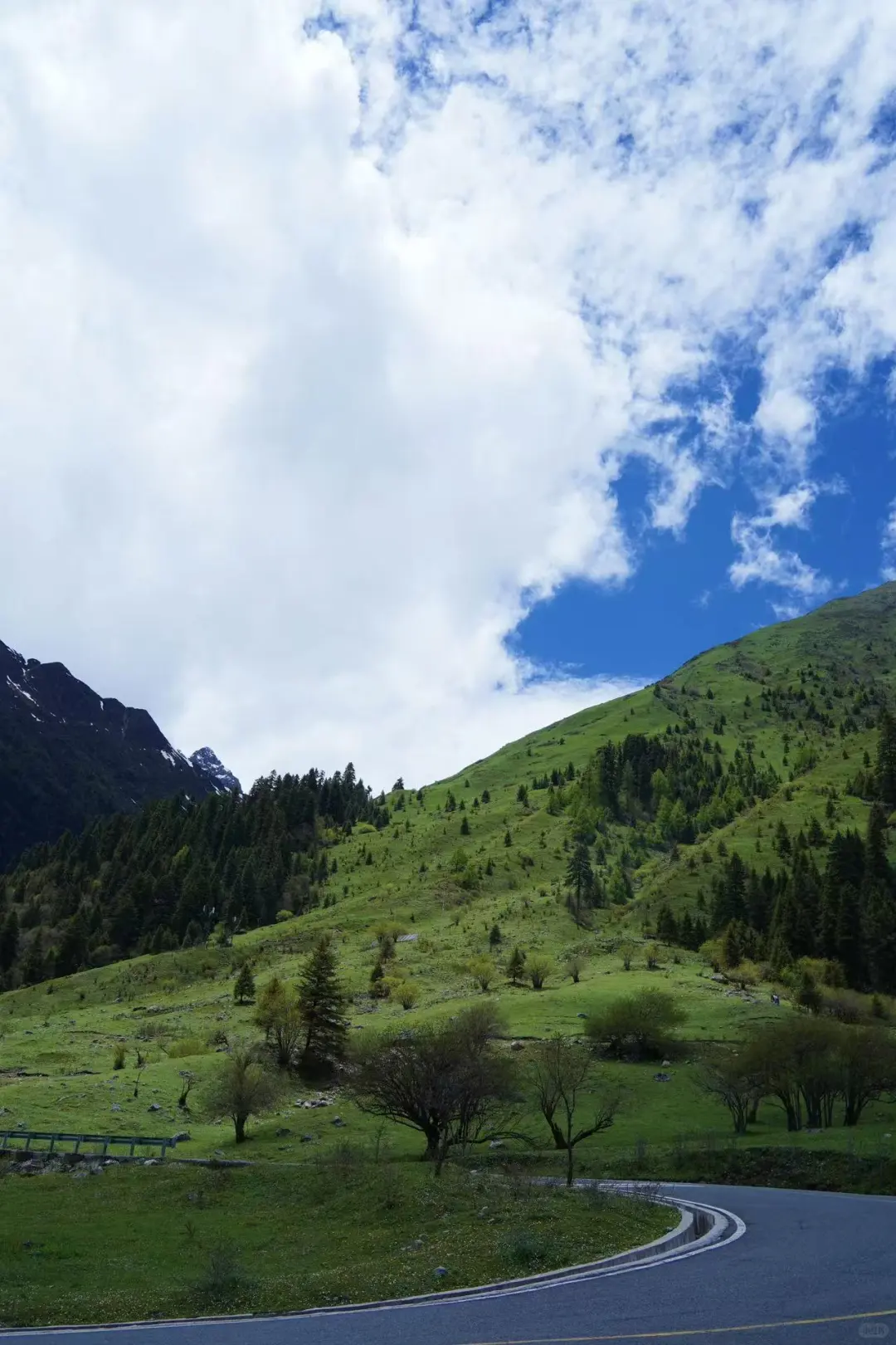 登山徒步：四姑娘山双桥沟（第四山）