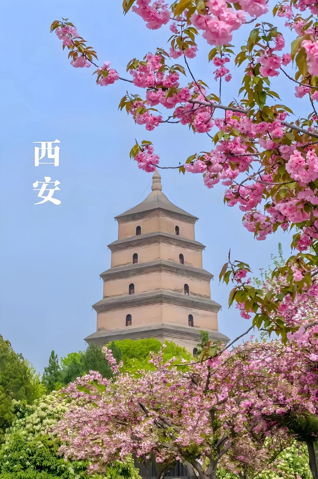 远赴人间惊鸿宴，一睹长安盛世颜！