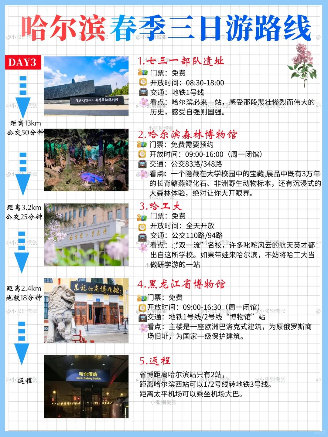 五一去哪儿｜哈尔滨三天两晚旅游攻略请收好