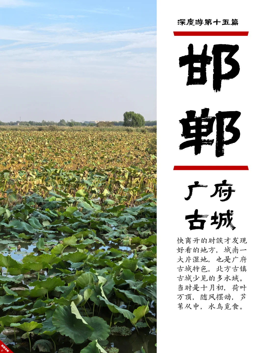 邯郸小众游15，广府古城，耍太极和吃酥鱼