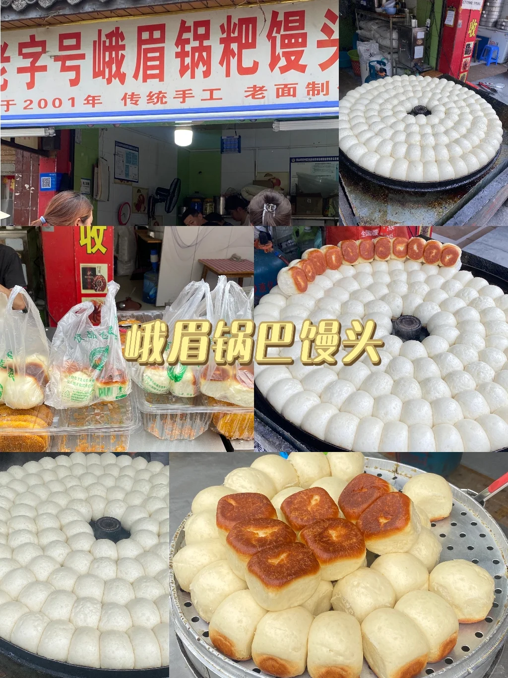 乐山旅游｜本地人带路！保姆级打卡攻略✨