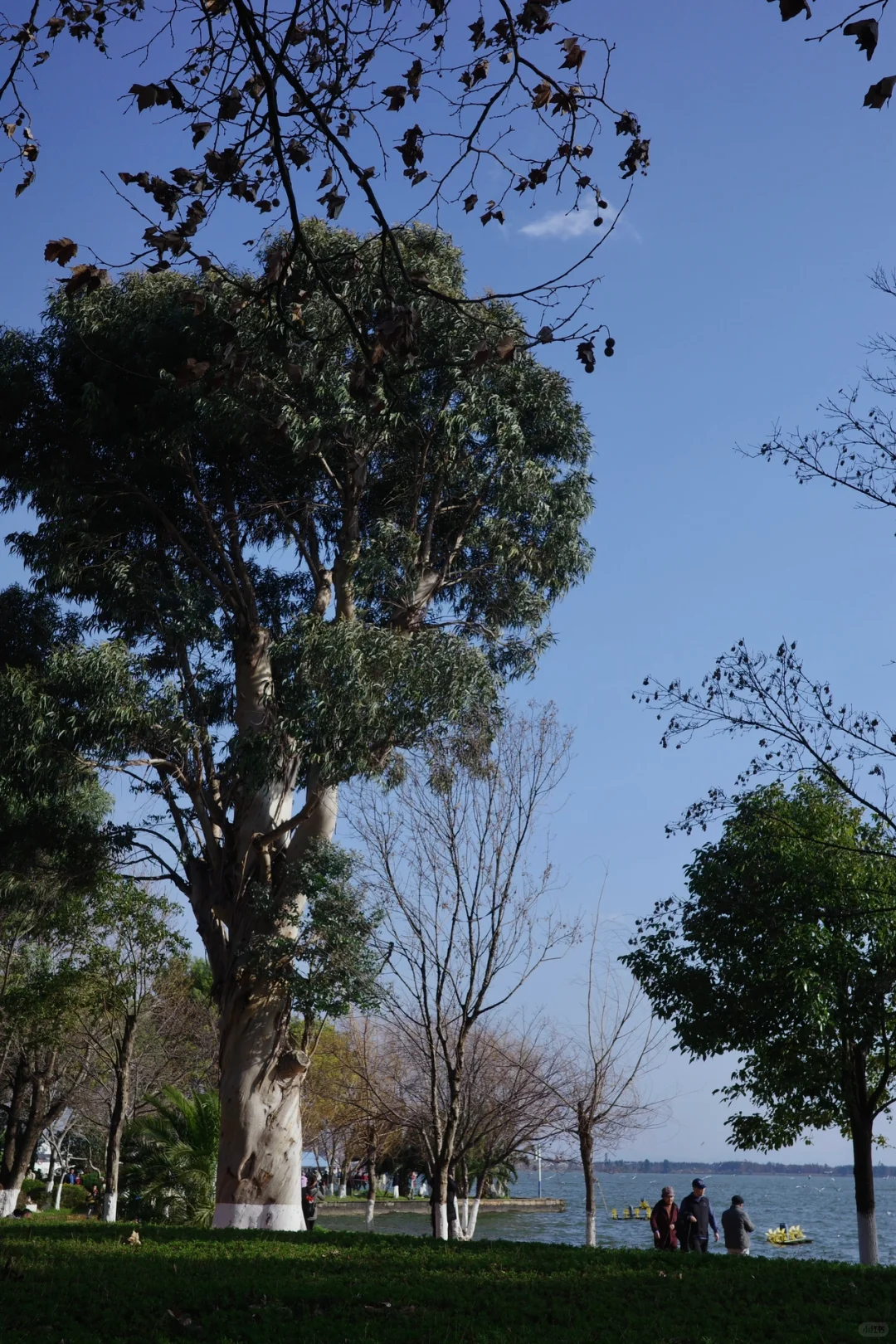旅行干货：昆明旅游的本质是围绕三个湖