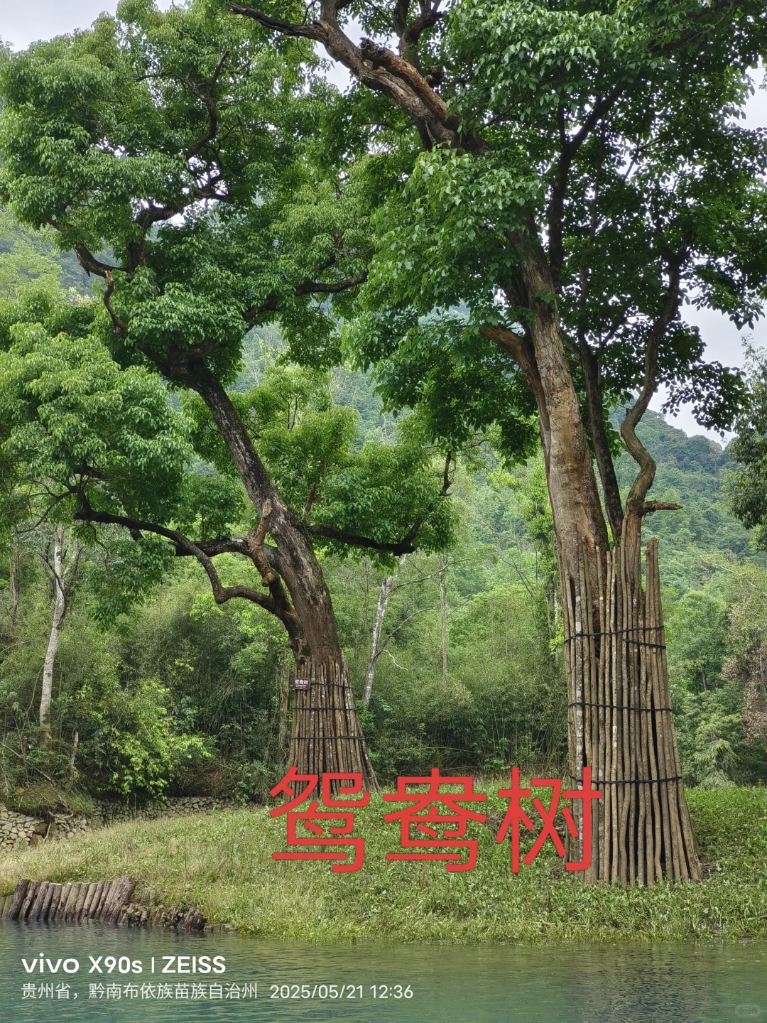 荔波景区实游行程