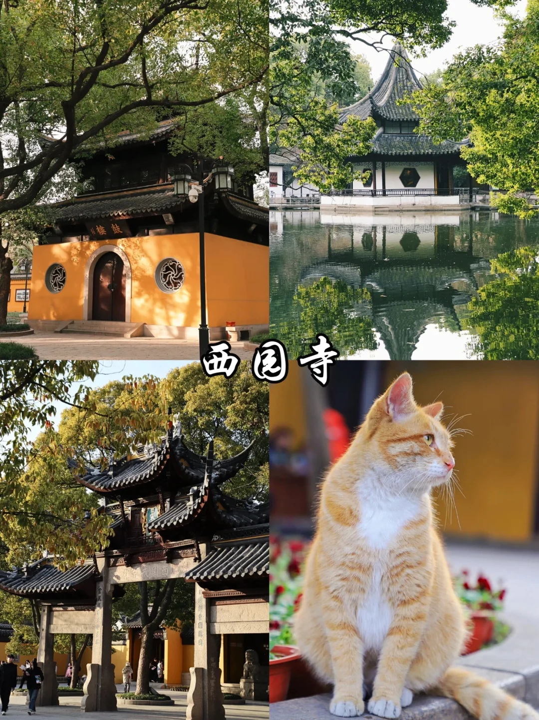 🔥苏州必去9️⃣大热门景点，看这篇就够啦！