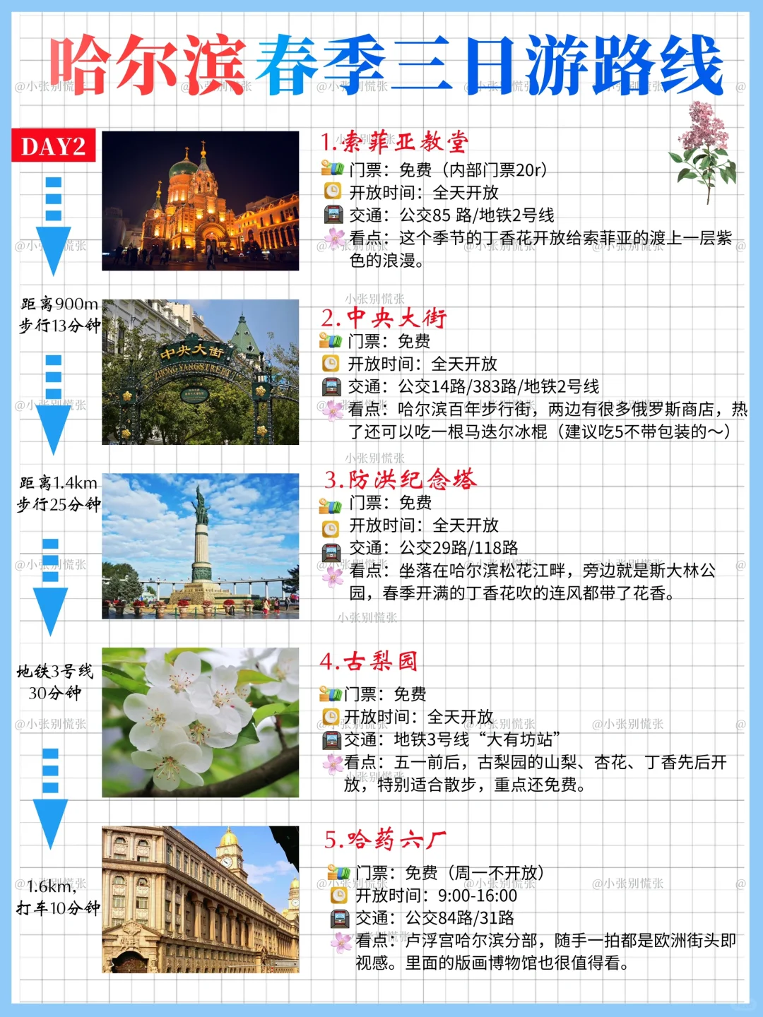 五一去哪儿｜哈尔滨三天两晚旅游攻略请收好