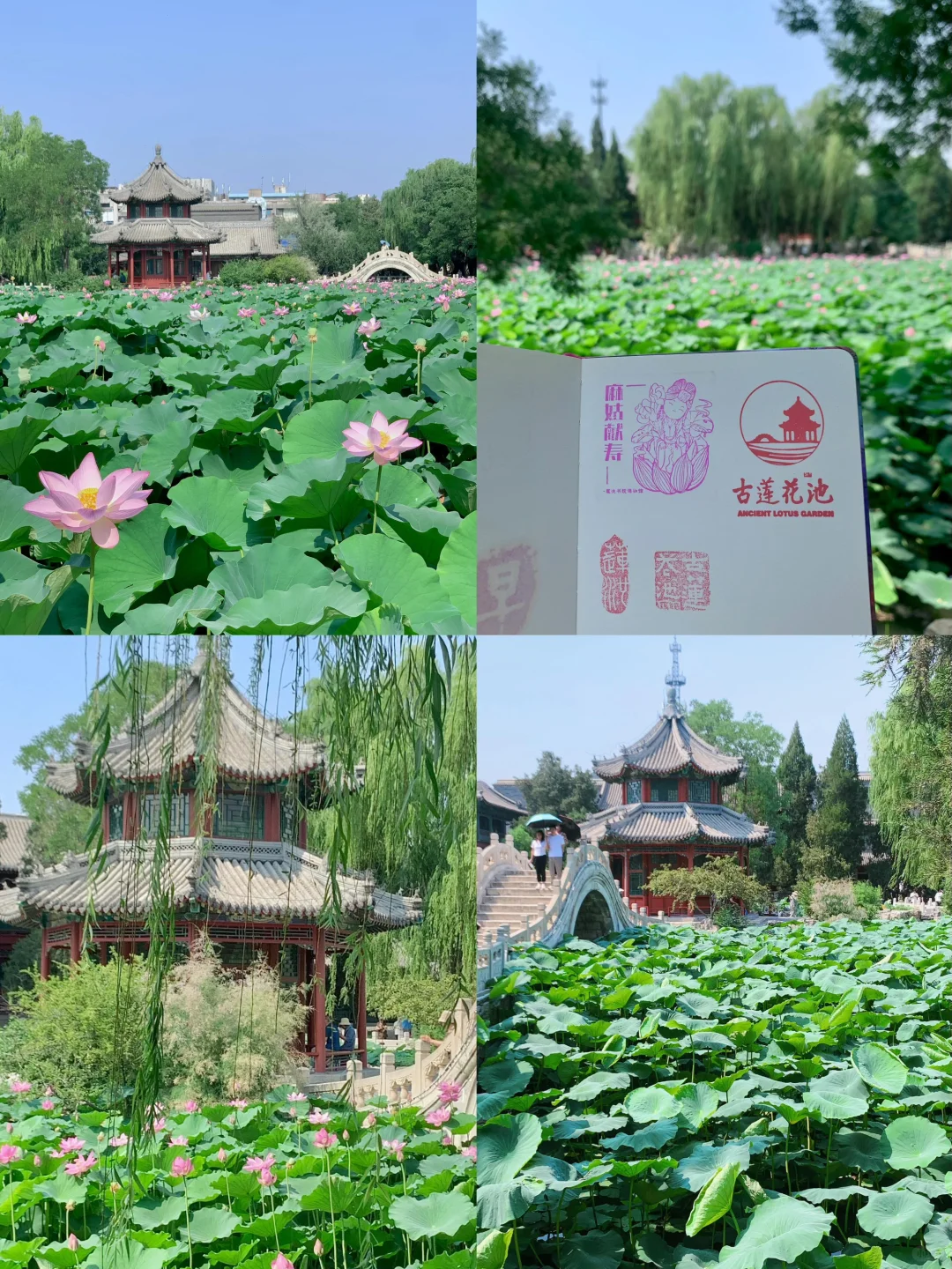 🌈保定| 6-8月来真香！华北腹地的夏韵浪漫之