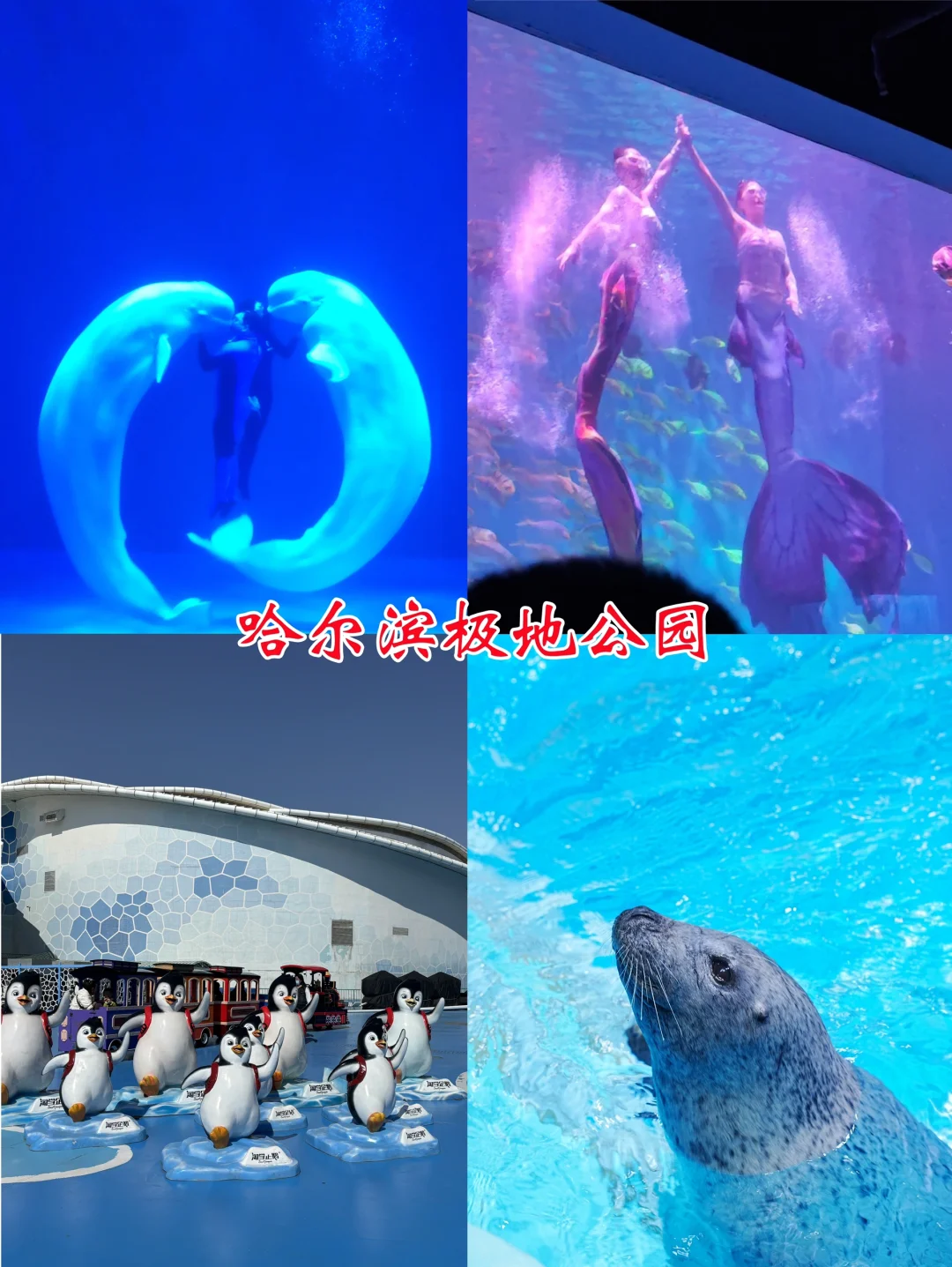 五一去哪儿｜哈尔滨三天两晚旅游攻略请收好