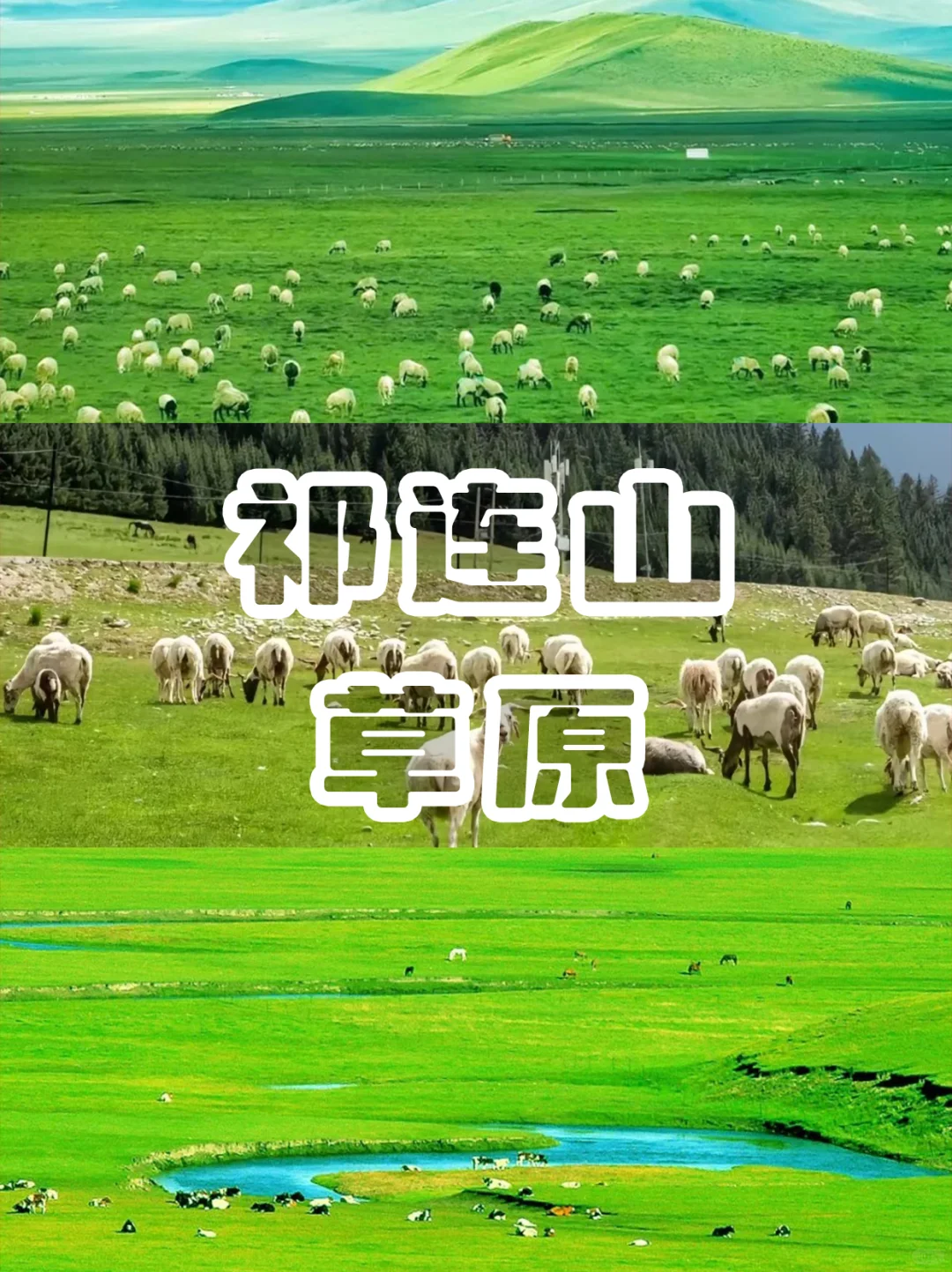 天❗这份青海旅游超前攻略❗还不快来抄作业
