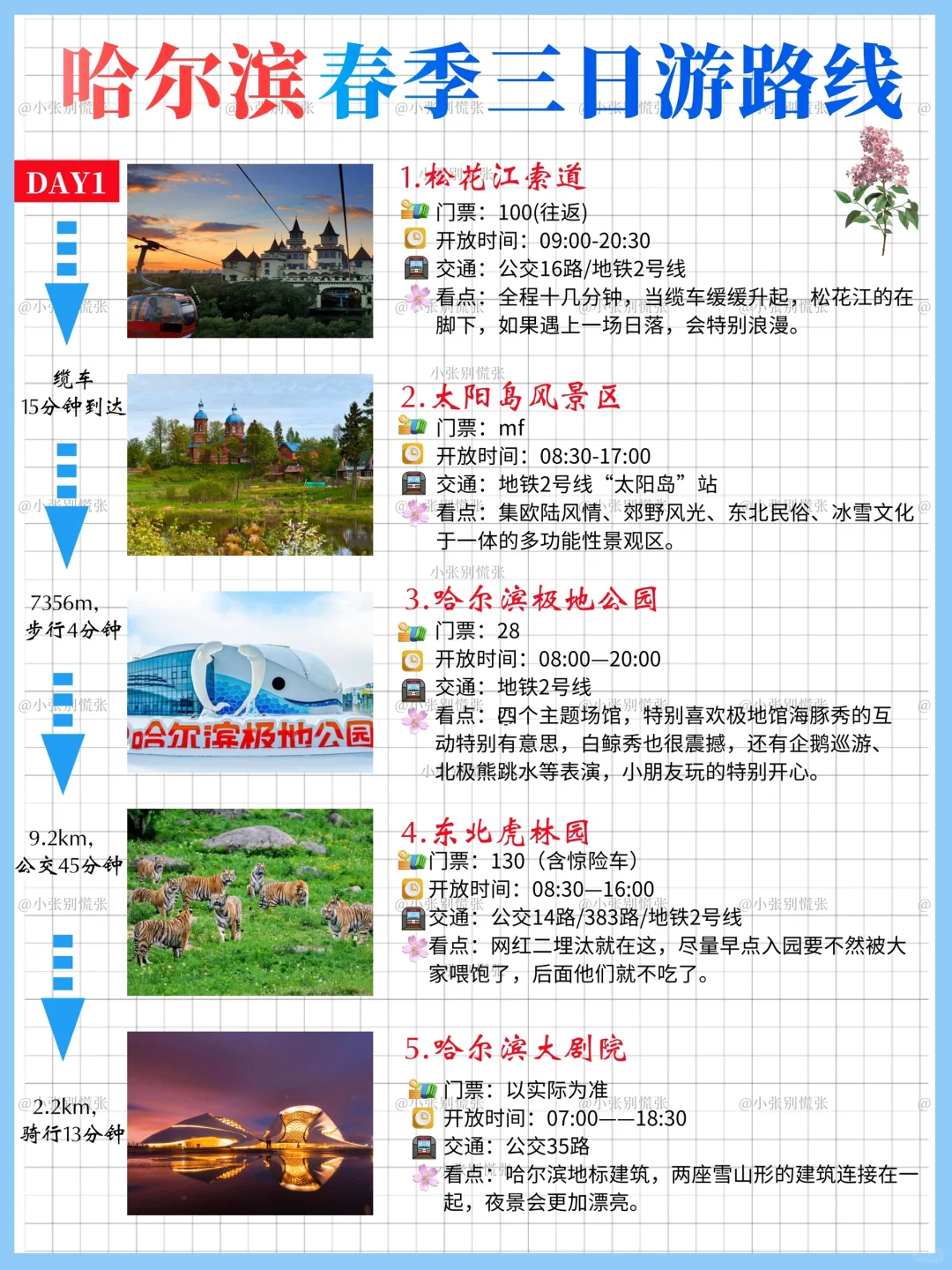 五一去哪儿｜哈尔滨三天两晚旅游攻略请收好