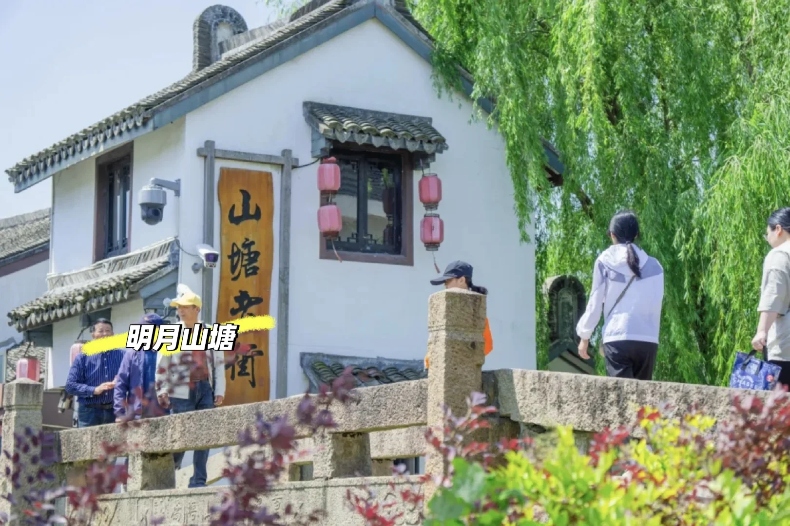 乐高 奶牛场…本地人玩转金山旅游攻略上篇