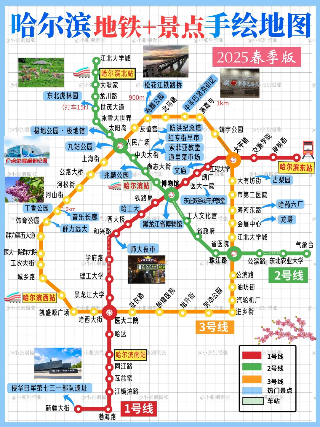 五一去哪儿｜哈尔滨三天两晚旅游攻略请收好