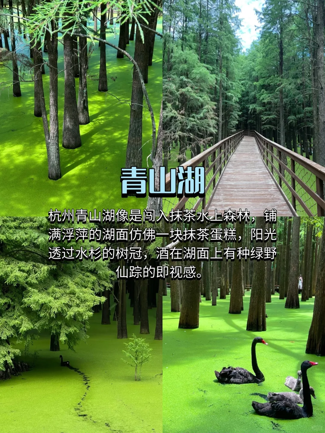 杭州citywalk |最值得逛的8条街攻略