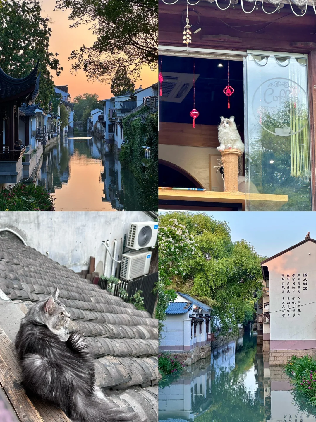 不虚此行 苏州真的很好🌳三天两夜旅游攻略
