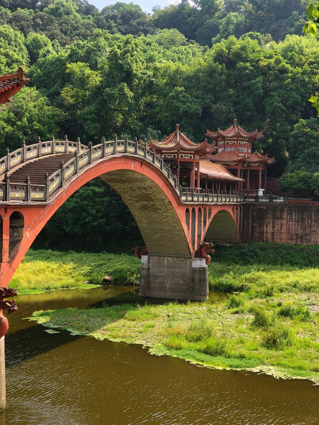 乐山旅游｜本地人带路！保姆级打卡攻略✨