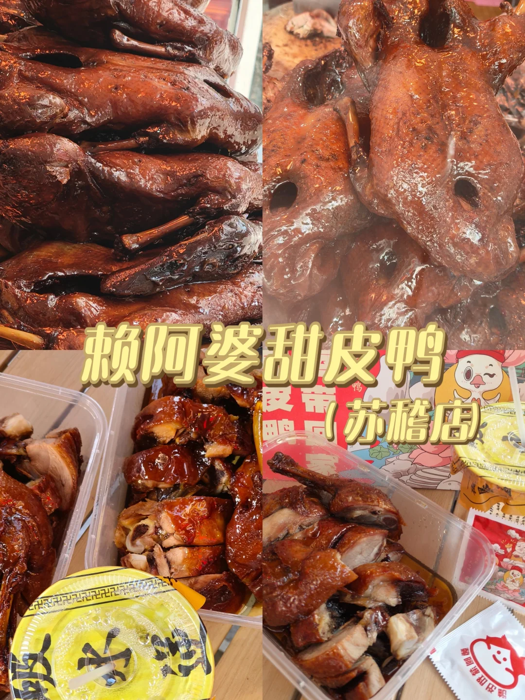 乐山旅游｜本地人带路！保姆级打卡攻略✨