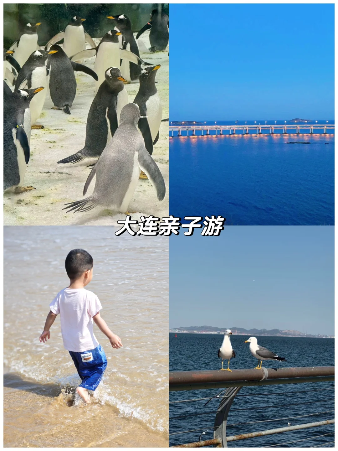 7—8月带娃出行👉我推荐这6个地方❗️