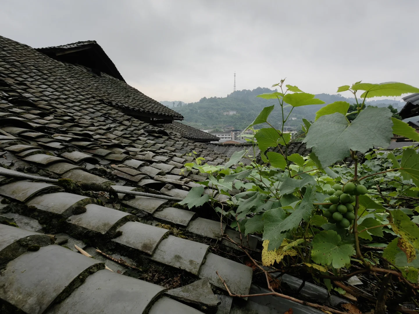 泸州.福宝古镇